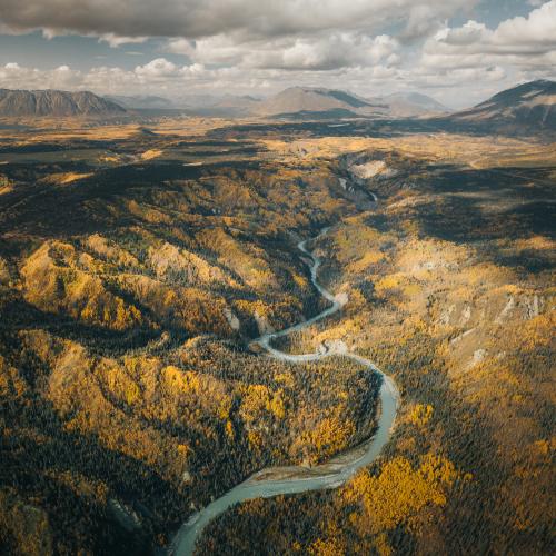 Unique nature